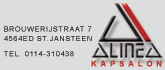 kapsalon Alinea